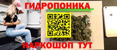 крисы Обнинск